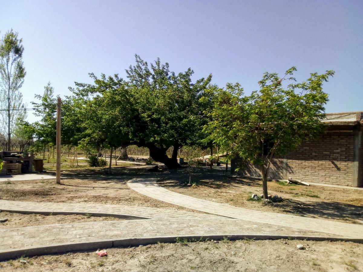 Cabanas De La Bodega Romano-Pin Albardón Екстериор снимка